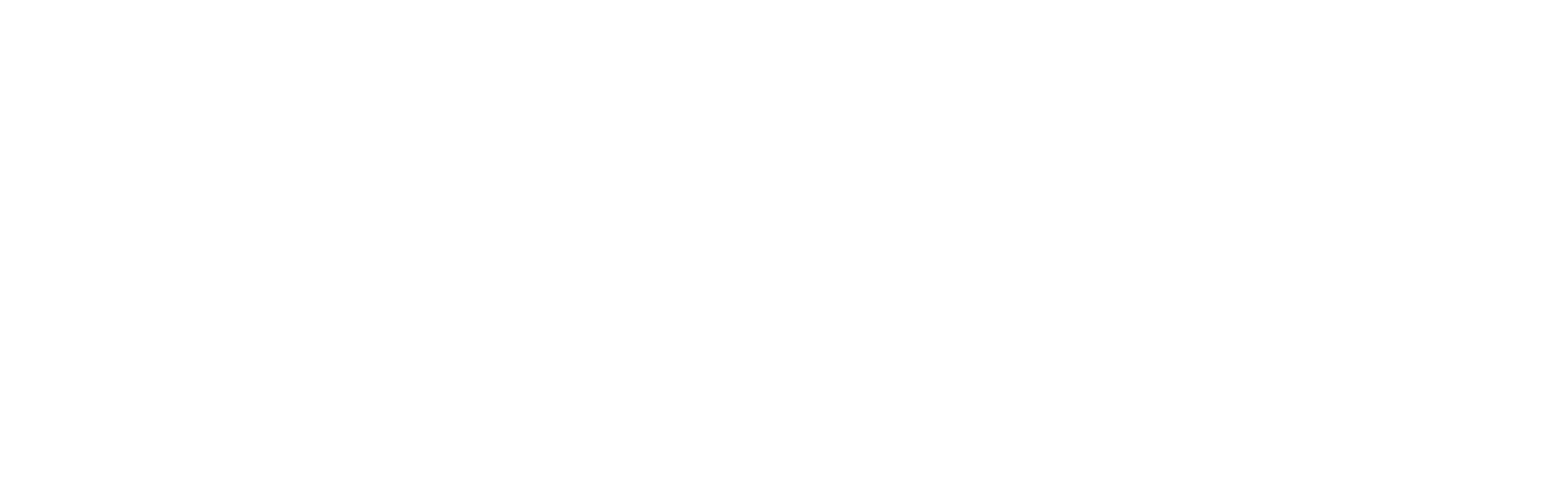 Elena Landau – Consultoria